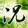 珠光宝气